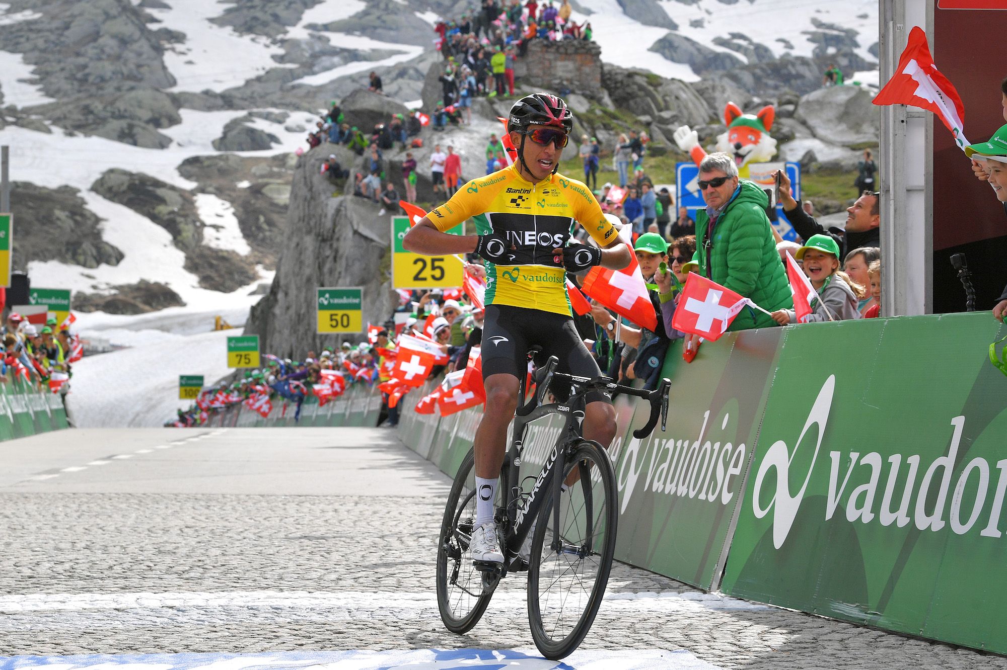 Velogames — Tour de Suisse